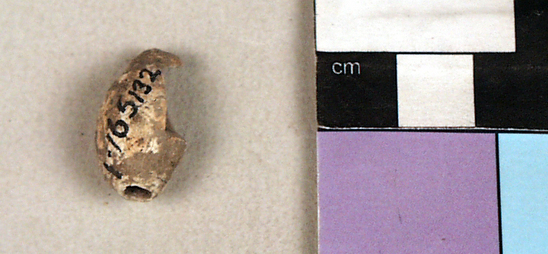 Hearst Museum object titled Bead, accession number 1-165132, described as Whole olivella