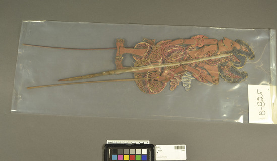 Hearst Museum object titled Shadow puppet, accession number 18-825, described as shadow puppet; depicts Leshmana, a major character of the Ramayana; tanned stiffened leather cut to traditional pattern; small decorative cutouts; painted various colors with light brown on the body; both arms move; mounted on carved wood stick; used as puppet in wajang kulit performances of the Ramayana; held in front of light, behind screen, moved