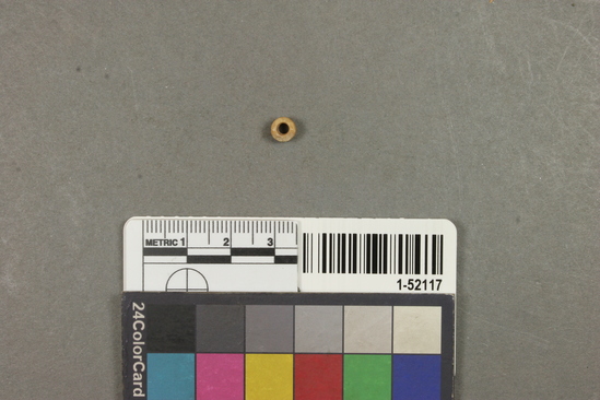 Hearst Museum object titled Bead, accession number 1-52117, described as Shell