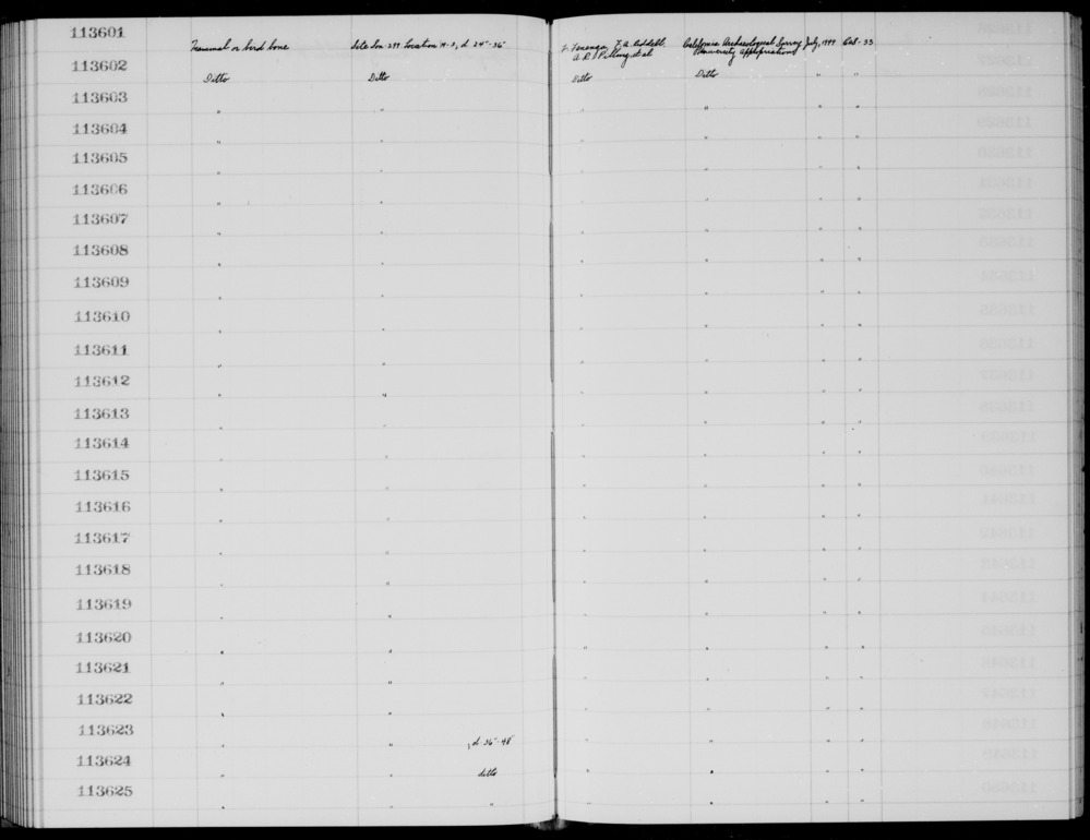 Documentation associated with Hearst Museum object titled Faunal remains, accession number 1-113622, described as Mammal or bird.