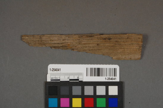 Hearst Museum object titled Wood fragment, accession number 1-254041, described as wood scrap