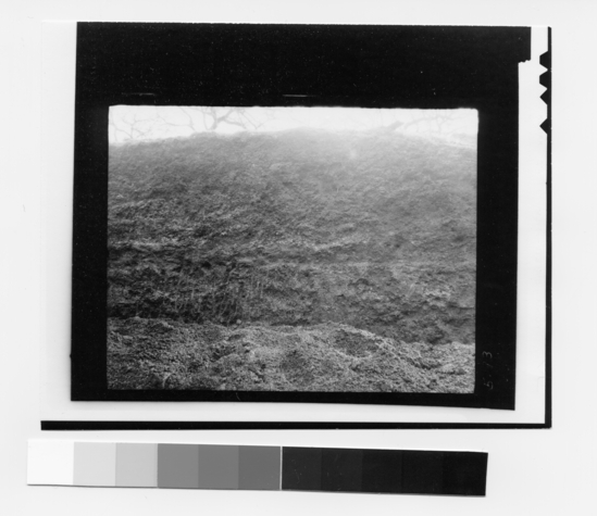 Hearst Museum object titled Black-and-white negative, accession number 15-5173, described as Mound #76 (Greenbrae); detailed view of section wall