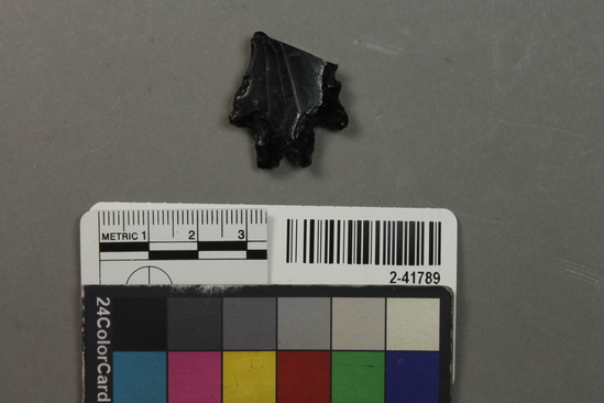 Hearst Museum object titled Projectile point, accession number 2-41789, described as No description given on catalog card.