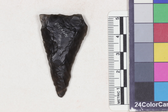 Hearst Museum object titled Projectile point, accession number 16-14303, described as Projectile point; obsidian; triangular; weight: 8.1 grams; length: 5.26 cm; width: 2.75 cm; depth: 0.8 cm; slight concave sides; straight, thinned base.