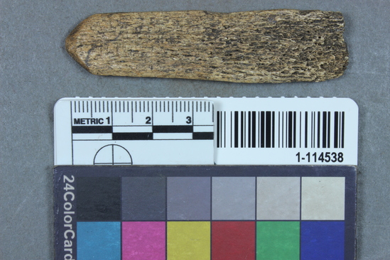 Hearst Museum object 1 of 2 titled Worked bone, accession number 1-114538, described as Bone