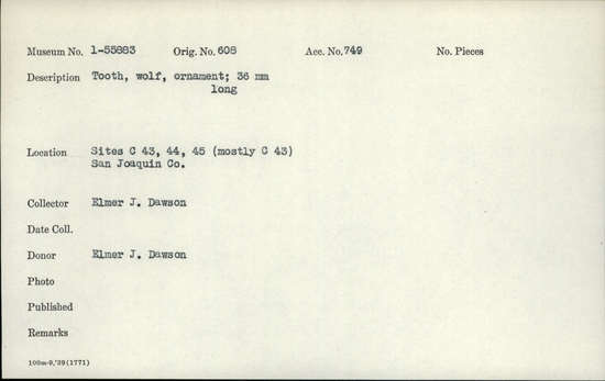 Documentation associated with Hearst Museum object titled Tooth, accession number 1-55883, described as tooth, wolf, ornament; 36mm long