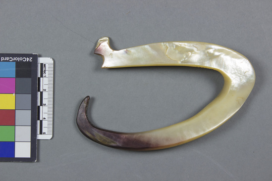 Hearst Museum object titled Fishhook, accession number 11-1962, described as Shell fishhook; notched at one end; 5.25 in