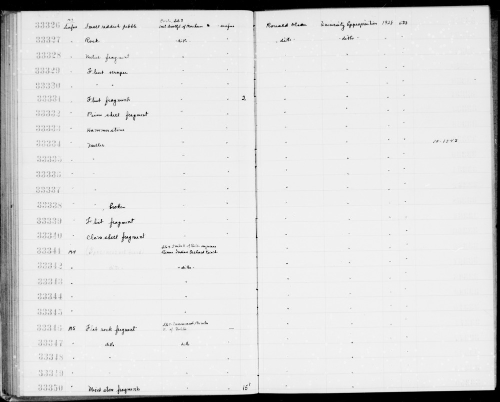 Documentation associated with Hearst Museum object titled Shell fragment, accession number 1-33332, described as Pismo shell fragment- faunal