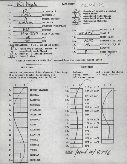 Documentation associated with Hearst Museum object titled Human remains, accession number 12-8746A, described as Remains of one one adult male.