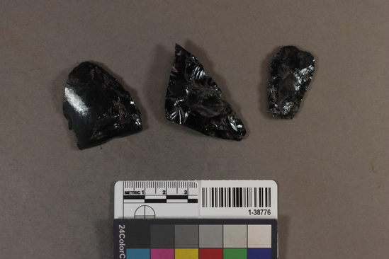 Hearst Museum object titled Point fragments, accession number 1-38776, described as Obsidian.