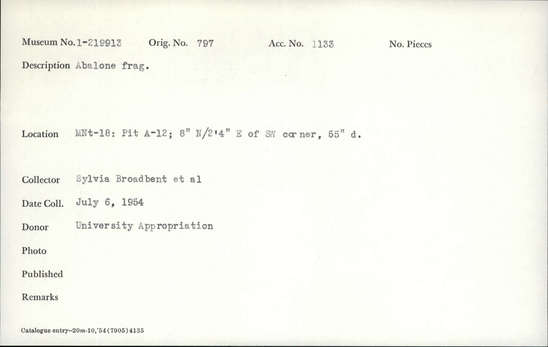 Documentation associated with Hearst Museum object titled Shell fragment, accession number 1-219913, described as Abalone fragment.