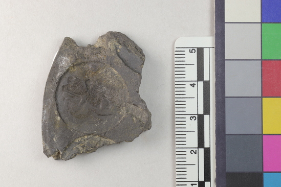 Coin mold fragment