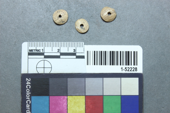 Hearst Museum object titled Bead, accession number 1-52228, described as Olivella, disc.