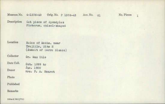 Documentation associated with Hearst Museum object titled Worked shell, accession number 4-1331, described as Cut piece of Spondylus pictorum, chisel-shaped.