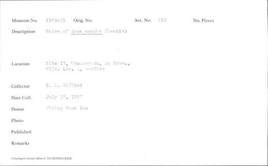 Documentation associated with Hearst Museum object titled Shell: bivalve, accession number 11-5451, described as Valve of Arca scapha Chemnitz
