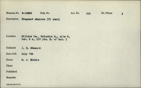 Documentation associated with Hearst Museum object titled Shell fragment, accession number 2-12856, described as Abalone shell fragment(?)