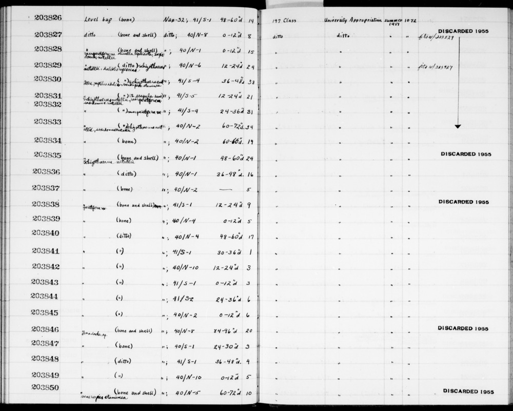 Documentation associated with Hearst Museum object titled Mammalian osteological remains, accession number 1-203835.4, described as Mammalian vertebra & humerus