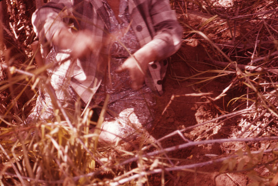 Hearst Museum object titled Color slide, accession number 25-5771, no description available.