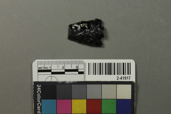 Hearst Museum object titled Projectile point, accession number 2-41917, described as No description given on catalog card.