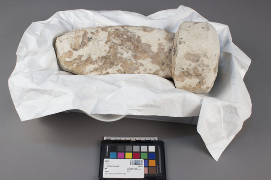 Hearst Museum object titled Phallus (lingam), accession number 9-9019, described as phallus; carved limestone; symbolic of Siva; along with circular stone with hollow center which is symbolic of Devi, these objects are the most common objects of worship in the Hindu religion; found in temples and in households (this example probably from a household).  Lingam is associated with worship of Siva