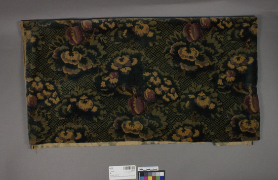 Hearst Museum object titled Textile, accession number 2-62536, described as Strip; cotton, cut pile, printed, green ground, printing rollers not well adjusted