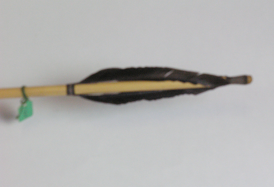 Hearst Museum object 2 of 2 titled Arrow, accession number 16-8641, described as Arrow, point of hardwood. Maué, Brazil.