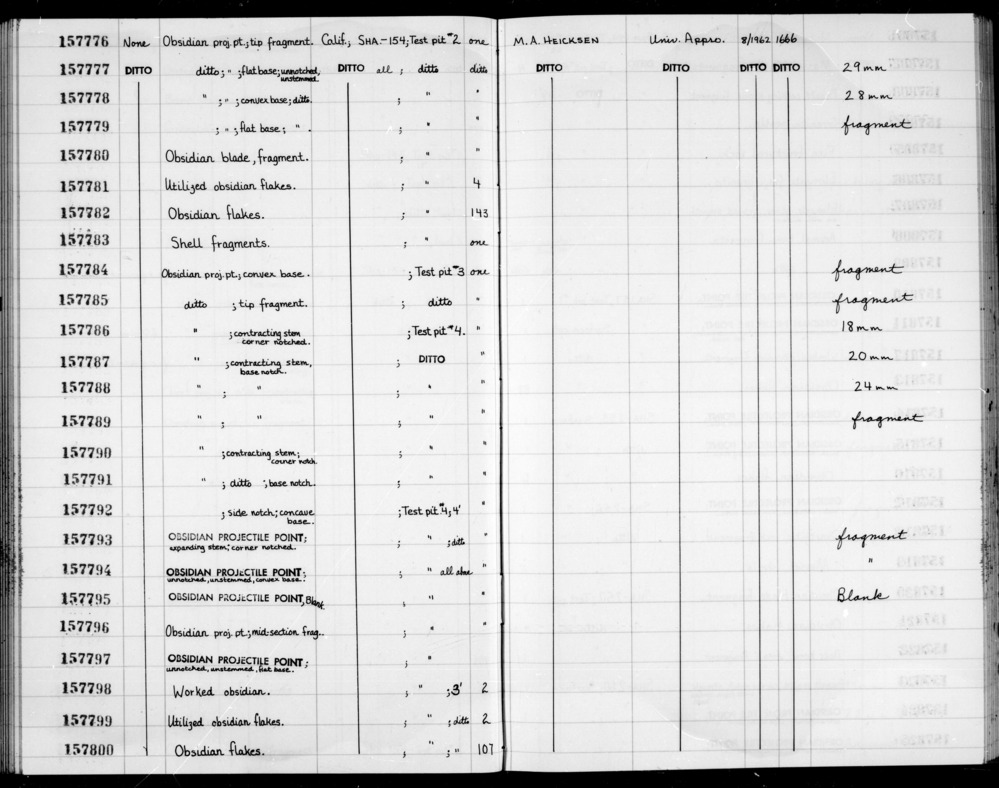 Documentation associated with Hearst Museum object titled Shell fragment, accession number 1-157783, described as Shell fragment.