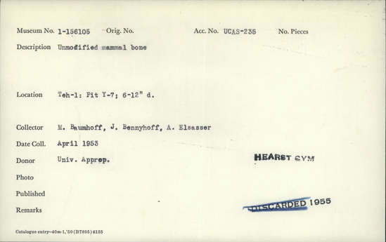 Documentation associated with Hearst Museum object titled Faunal remains, accession number 1-156105, described as Unmodified, mammal.