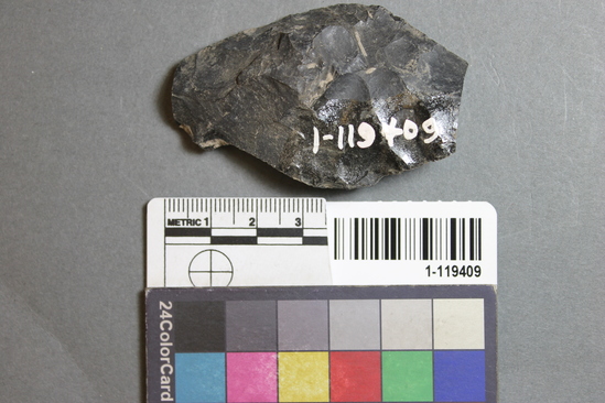 Hearst Museum object titled Blade fragment, accession number 1-119409, described as Obsidian