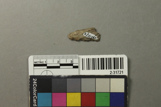 Hearst Museum object titled Point fragment, accession number 2-31721, described as Chert.