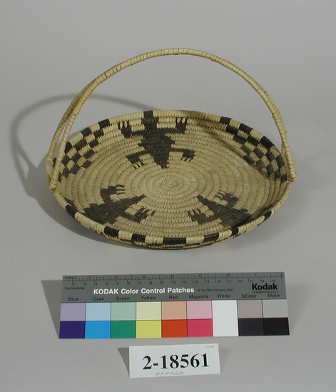 Hearst Museum object titled Basket, accession number 2-18561, described as Round tray-like basket, coiled, double-coil handle.  Rim flaring.  Design:  3 lizards.