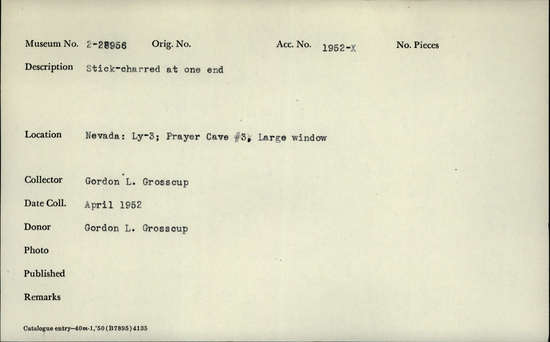 Documentation associated with Hearst Museum object titled Stick, accession number 2-28956, described as Stick, charred at one end.