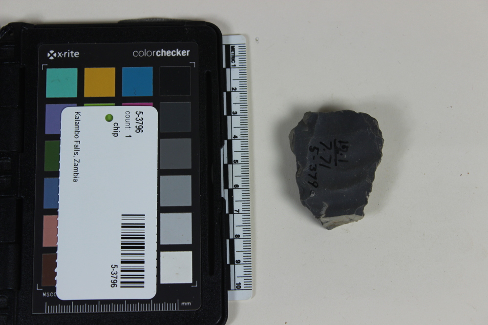 Hearst Museum object 2 of 2 titled Chip, accession number 5-3796, described as Unutilized  chert chip; 4.5 x 3.6 cm.