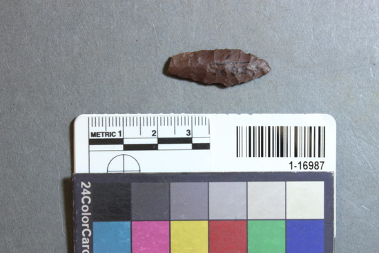 Hearst Museum object 5 of 28 titled Points, accession number 1-16987, described as Chipped points of flint, chert, etc.