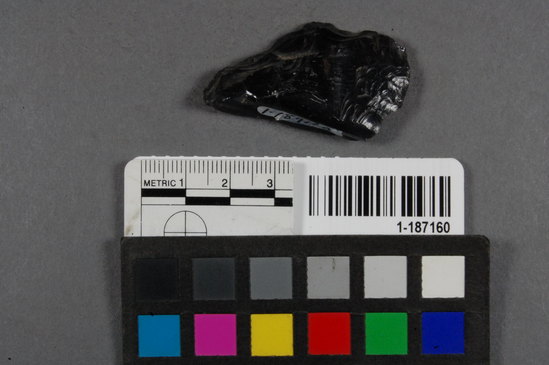 Hearst Museum object titled Blade fragment, accession number 1-187160, described as Obsidian