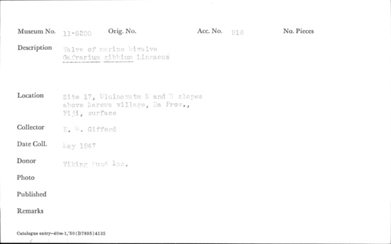 Documentation associated with Hearst Museum object titled Shell: bivalve, accession number 11-5200, described as Valve of marine bivalve. Gafrarium gibbium Linnaeus