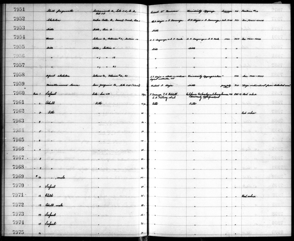 Documentation associated with Hearst Museum object titled Faunal remains and stone, accession number 12-7974.2, no description available. Notice: Image restricted due to its potentially sensitive nature. Contact Museum to request access.