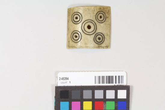 Hearst Museum object titled Fastener, toggle, or buckle, accession number 2-45394, described as Bone; 5 areas of concentric circles, each with central hole; rectangular curved piece.  Orig. No. 2-6789b.