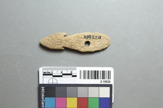 Hearst Museum object titled Projectile fragments, accession number 2-19520, described as Made of bone.