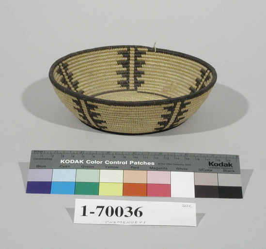 Hearst Museum object titled Basket, accession number 1-70036, described as Coiled, plate shape.