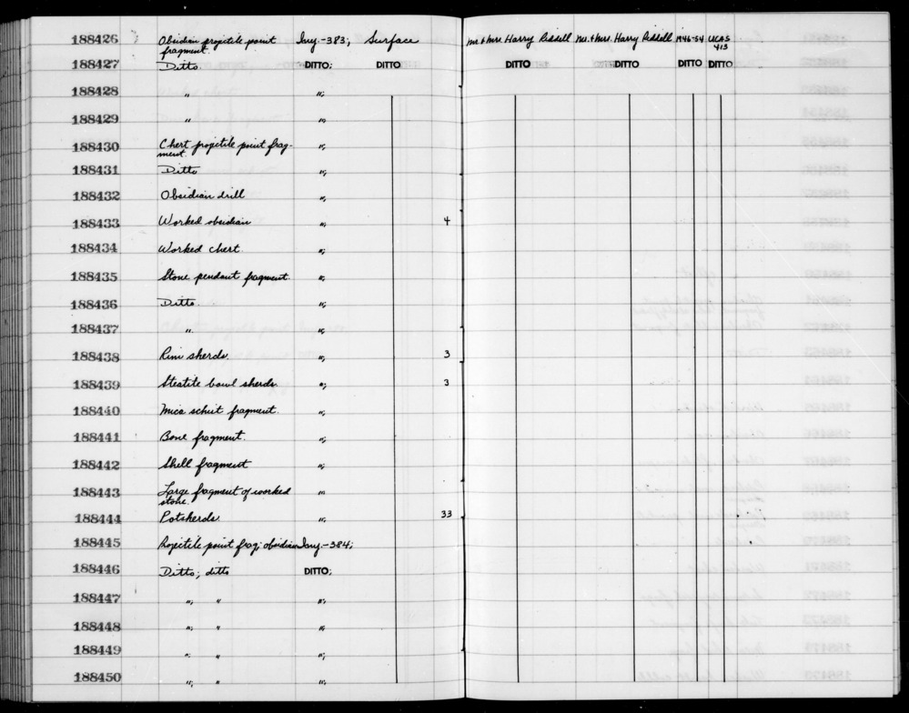 Documentation associated with Hearst Museum object titled Shell fragment, accession number 1-188442, described as Shell fragment.