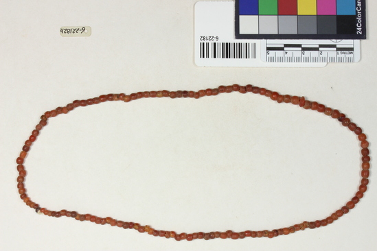 Hearst Museum object 5 of 6 titled Beads, accession number 6-22182, described as beads, of carnelian. a) small barrel-shaped b) larger, ring-shaped