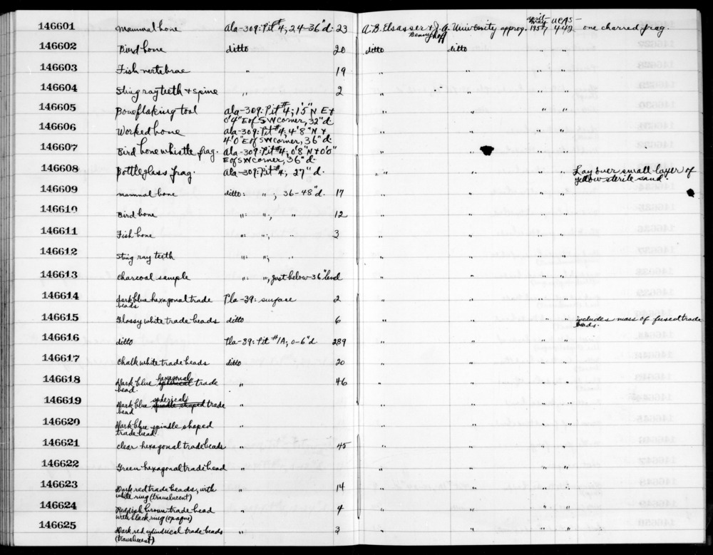 Documentation associated with Hearst Museum object titled Bird bone, accession number 1-146602, described as bird bone