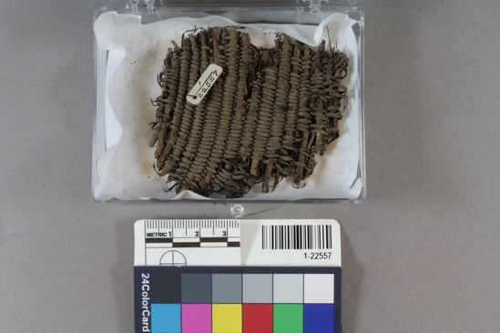 Hearst Museum object titled Basketry, accession number 1-22557, described as fragment of 3-rod coiled basket