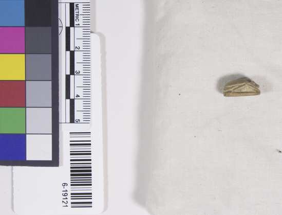 Hearst Museum object titled Scarab with inscription, accession number 6-19121, described as Scarab with inscription