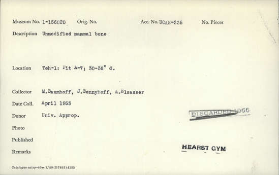 Documentation associated with Hearst Museum object titled Faunal remains, accession number 1-156020, described as Unmodified, mammal.