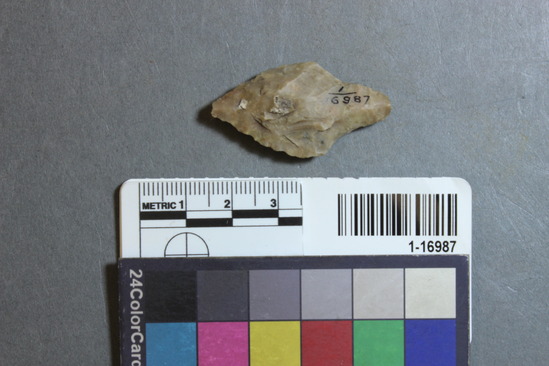 Hearst Museum object 28 of 28 titled Points, accession number 1-16987, described as Chipped points of flint, chert, etc.