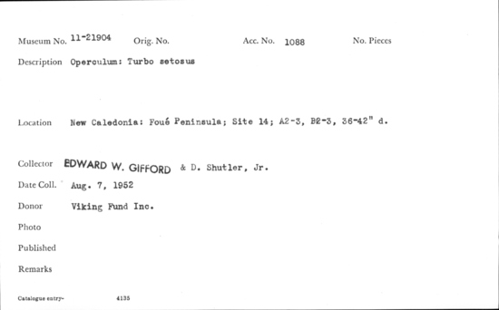 Documentation associated with Hearst Museum object titled Shell: bivalve, accession number 11-21904, no description available.