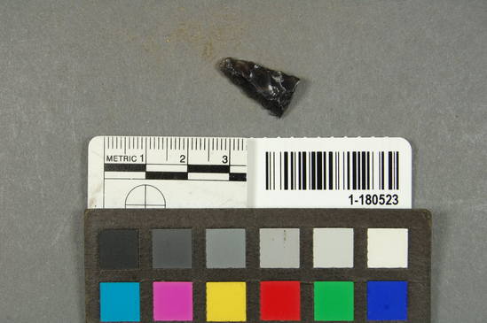 Hearst Museum object titled Point, accession number 1-180523, described as Obsidian, fragment