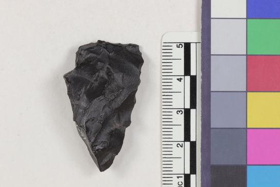 Hearst Museum object 2 of 2 titled Flake fragment, accession number 16-14386, described as Projectile point fragment; obsidian; triangular; weight: 8.67 grams; length: 4.2 cm; width: 2.34 cm; depth: 1.2 cm.